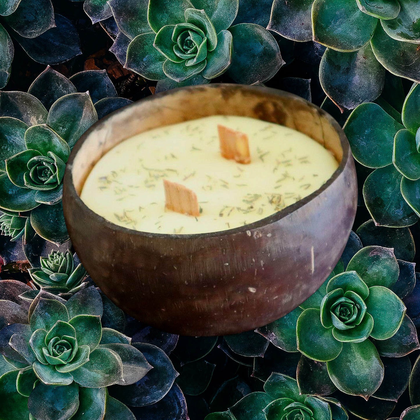 Coconut Shell Candle –  390g Approx.